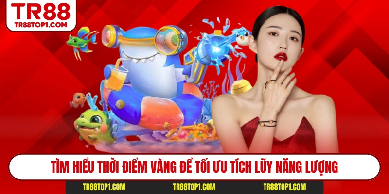 Tìm hiểu thời điểm vàng để tối ưu tích lũy năng lượng