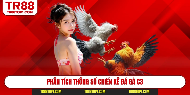 Phân tích thông số chiến kê đá gà C3
