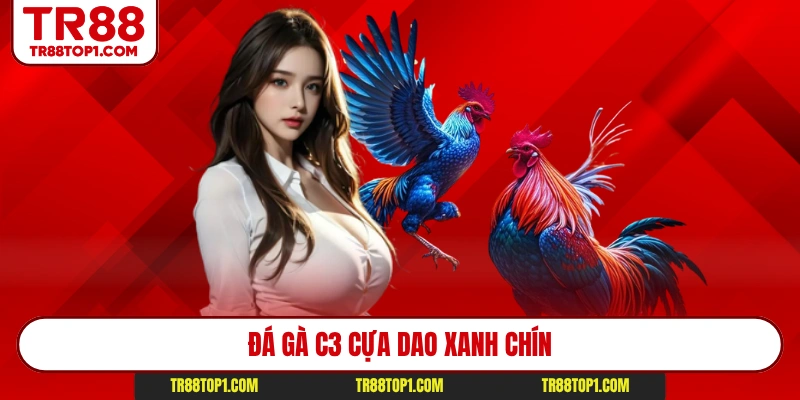 Đá gà C3 cựa dao xanh chín