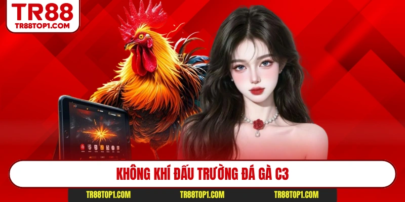 Không khí đấu trường đá gà C3