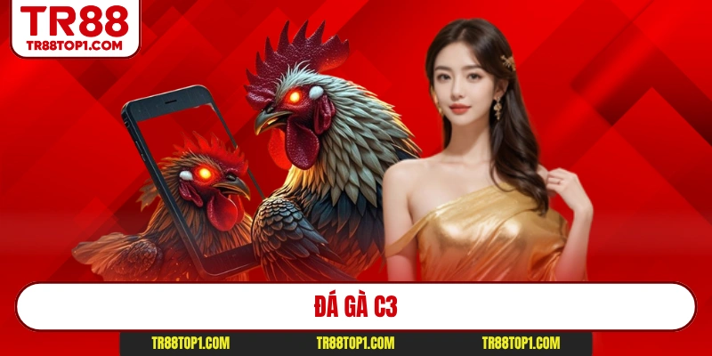 Đá Gà C3 - Đấu Trường Chiến Kê Tr88 Đỉnh Cao Nhất 2026
