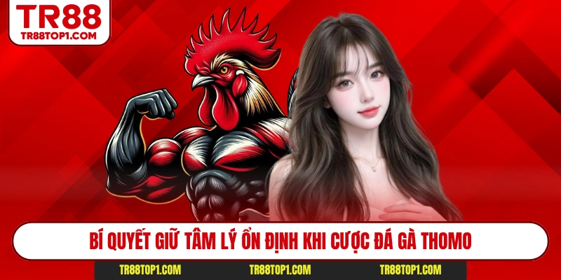 Bí quyết giữ tâm lý ổn định khi cược đá gà Thomo Bí quyết giữ tâm lý ổn định khi cược đá gà Thomo