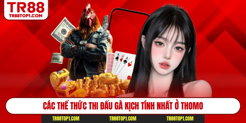 Các thể thức thi đấu gà kịch tính nhất ở Thomo Các thể thức thi đấu gà kịch tính nhất ở Thomo