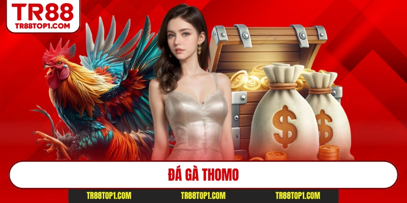 Đá Gà Thomo - Top 1 Đấu Trường Hùng Kê Đỉnh Cao Cược