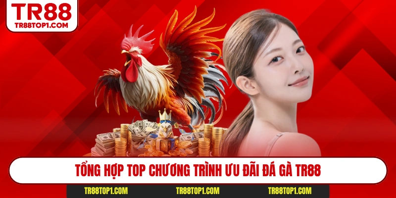 Tổng hợp top chương trình ưu đãi đá gà TR88